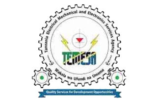 TEMESA Logo